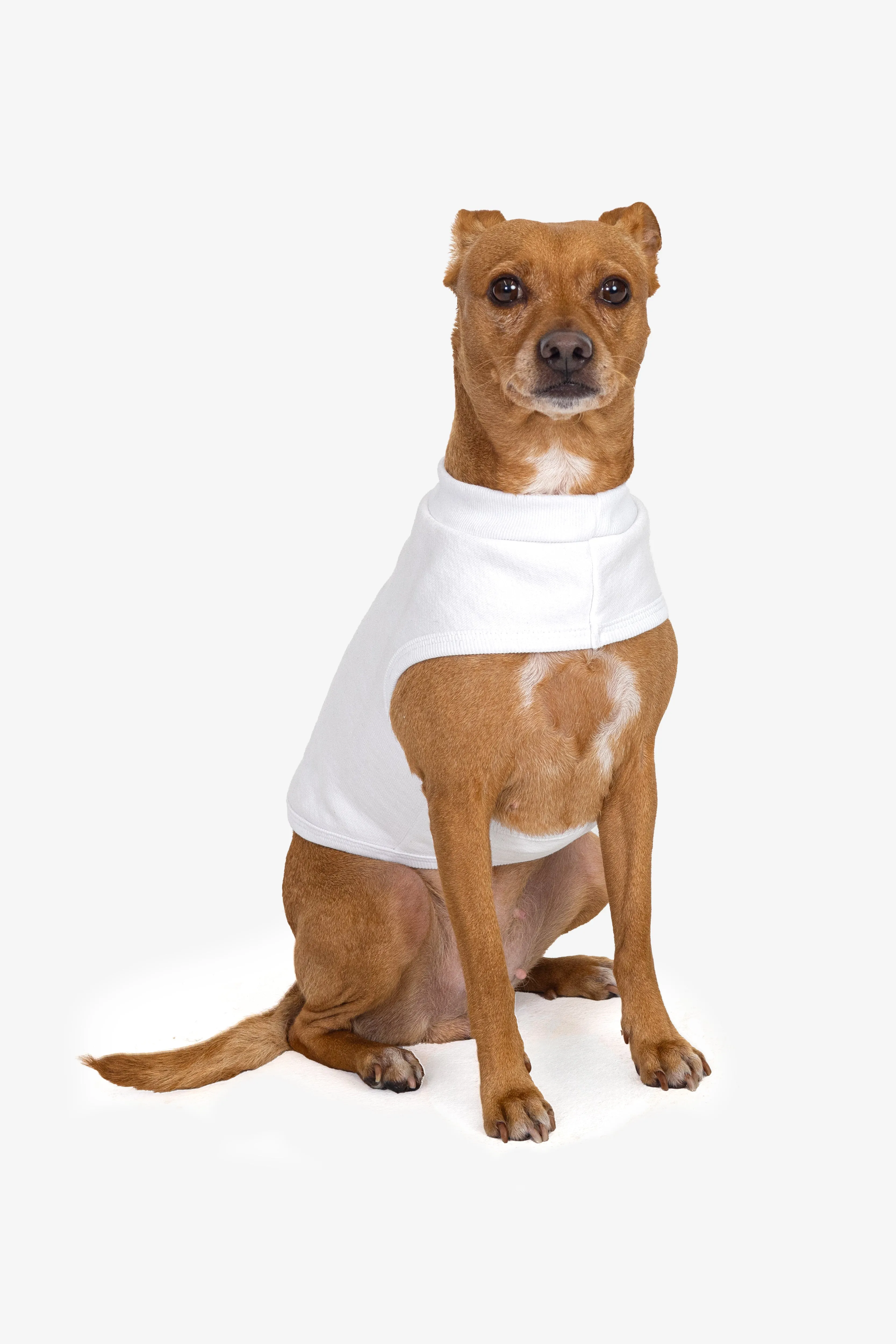 HFDOGVEST - Heavy Fleece Dog Vest