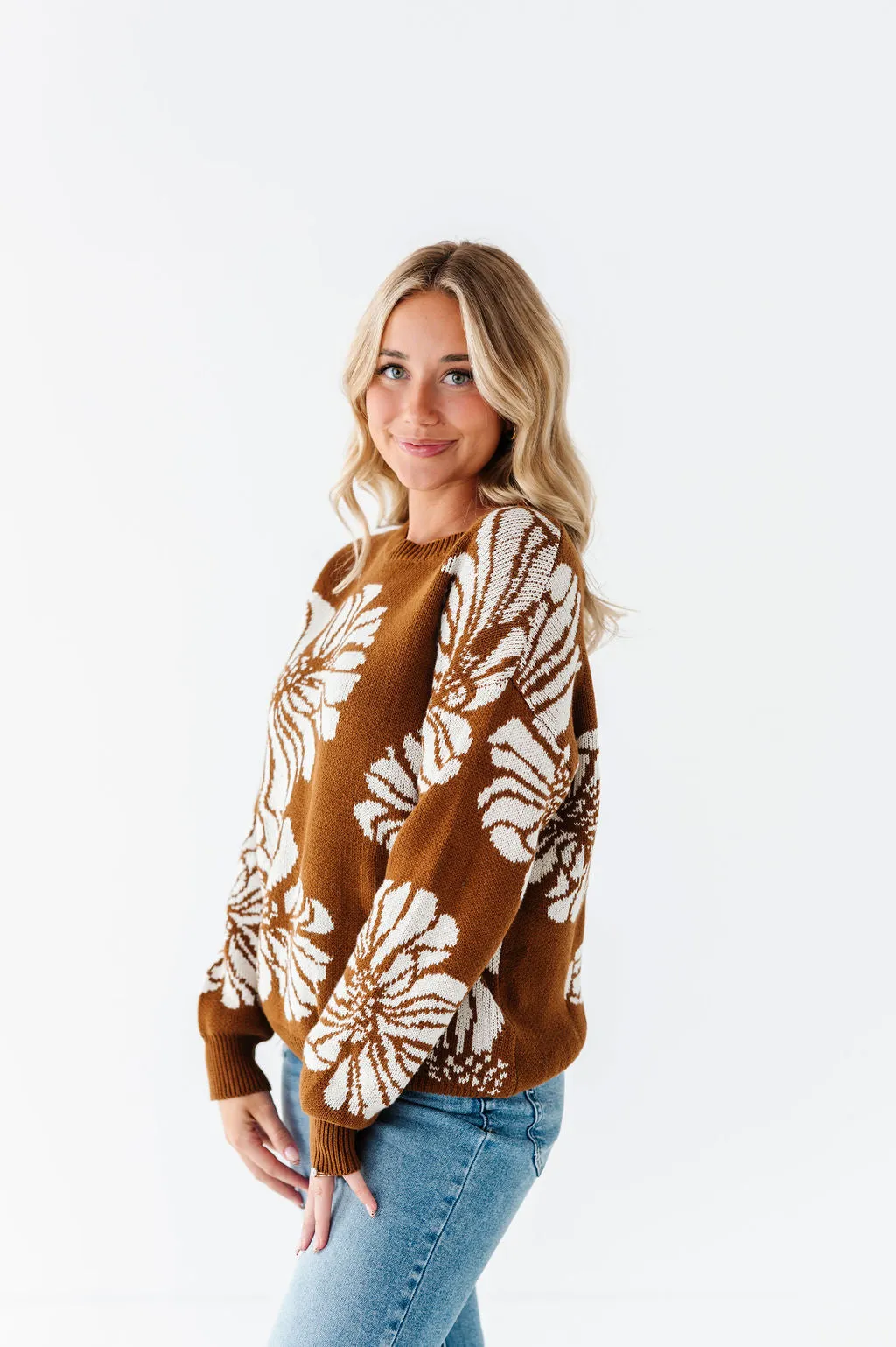 Jasper Sweater in Brown