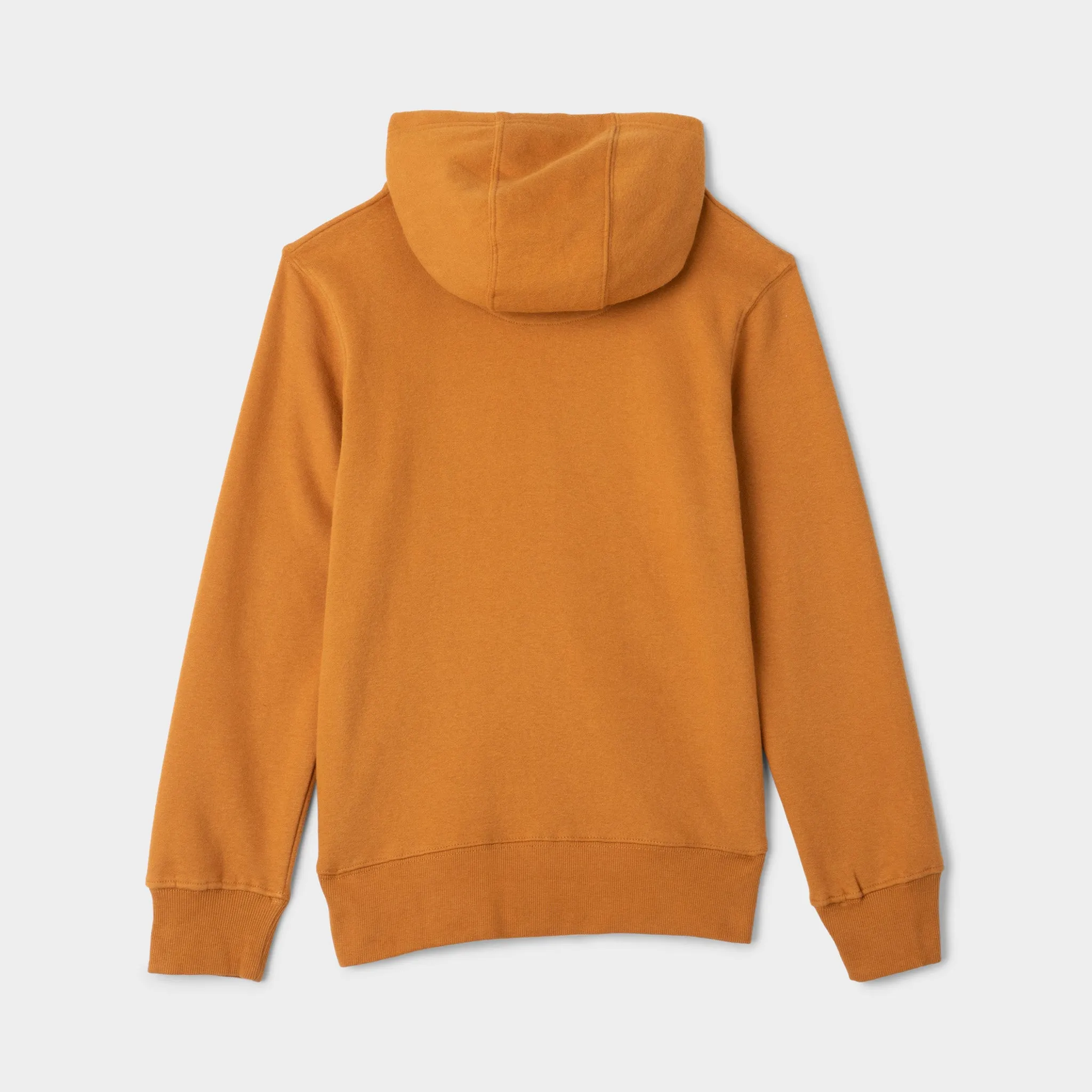 Levi's Junior Boys' Logo Pullover Hoodie / Cathay Spice