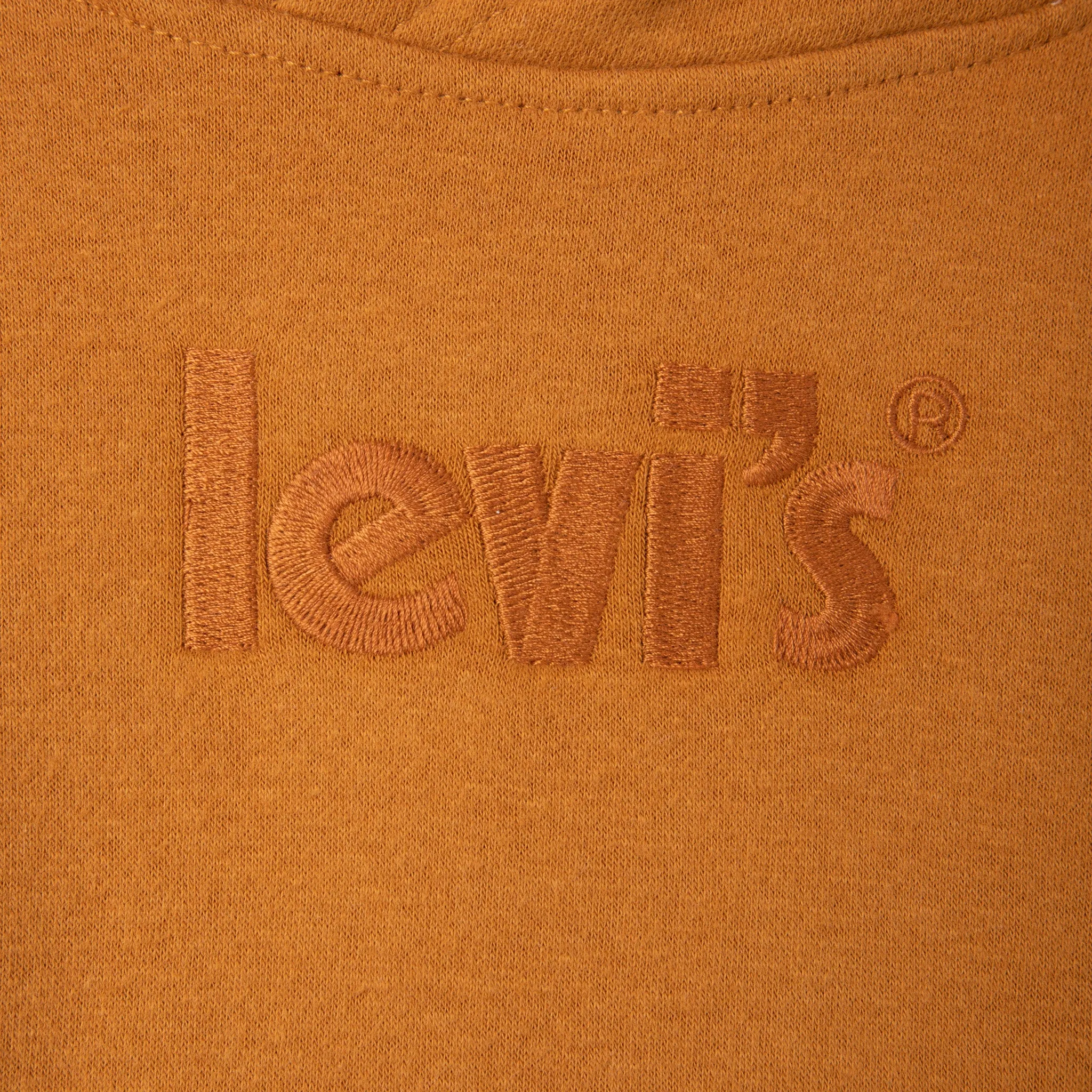 Levi's Junior Boys' Logo Pullover Hoodie / Cathay Spice