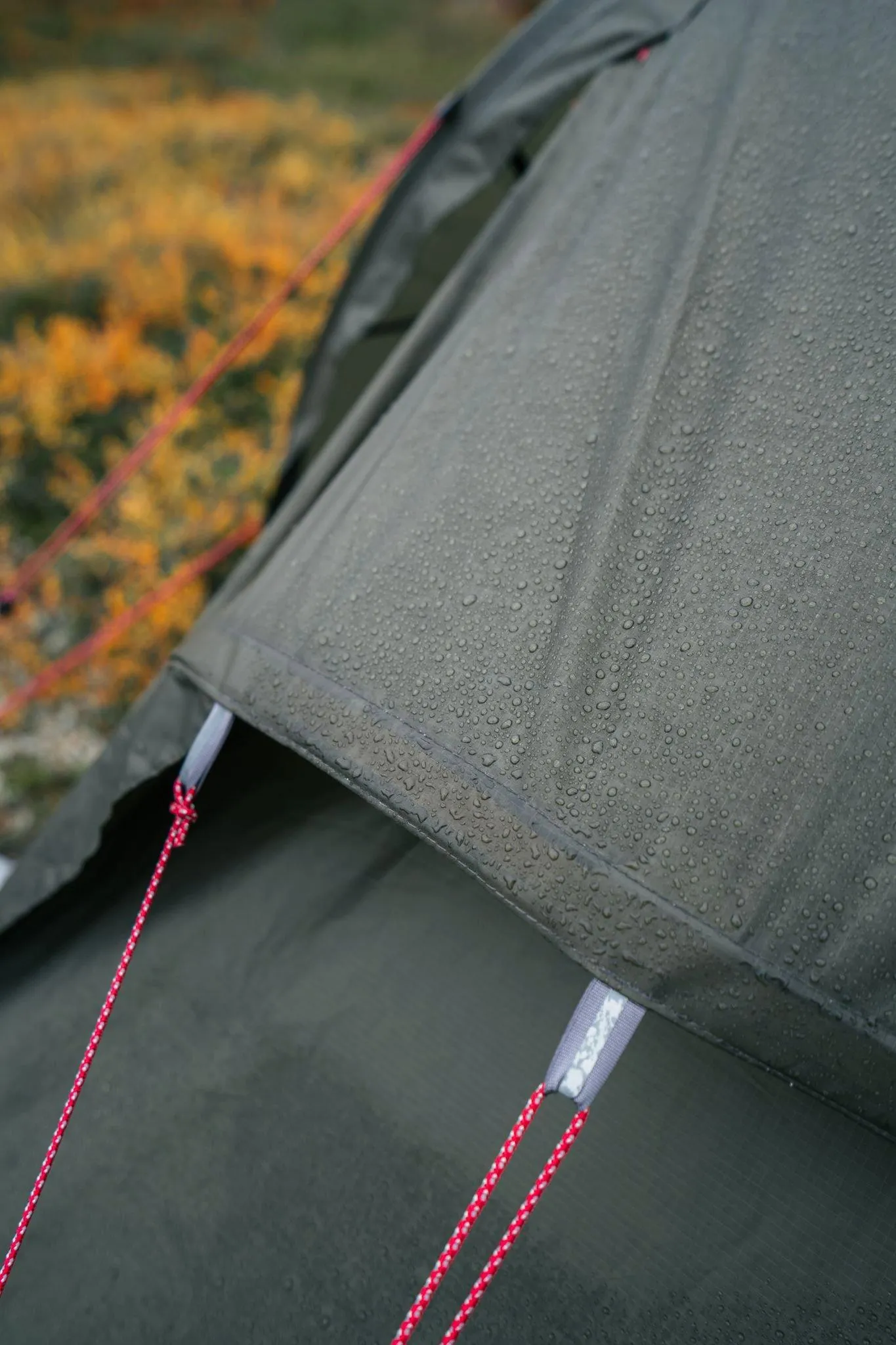 MSR Tindheim Backpacking Tunnel Tent | Wild Camping Tents | George Fisher UK