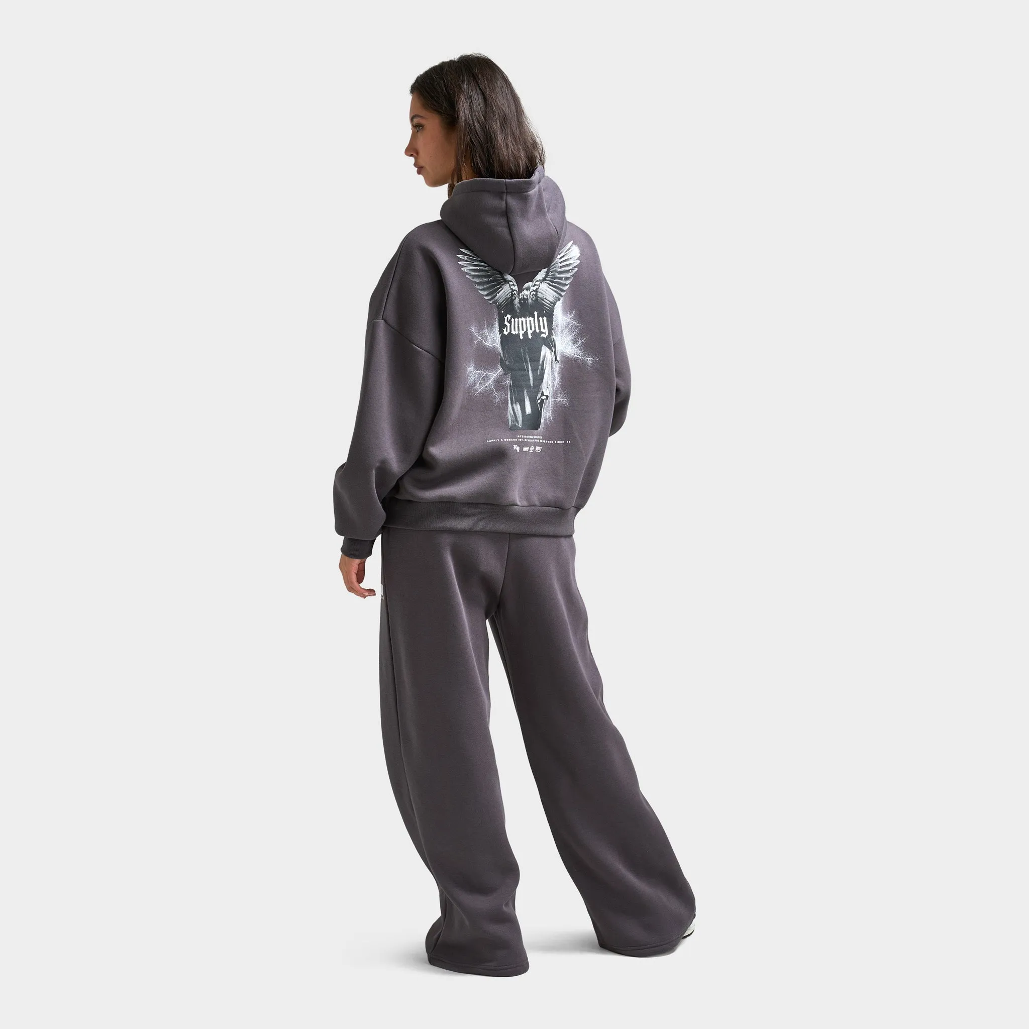 Supply & Demand Womens' Wings Graphic Hoodie / Asphalt